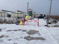 장흥 오리농장 AI 항원 검출…전남서 4번째