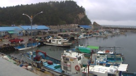 해수부, 수산업법 시행령 개정…강원 근해통발 대게 조업 연중 금지