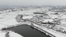 전남 23일까지 최고 20cm 눈 예상