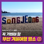 [카드뉴스] 꼭 가봐야 할 부산 겨울여행 명소 - 송정해수욕장 편