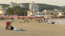 광안리·일광해수욕장 장구균, 대장균 나와