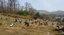 은평구, 친환경 나눔 텃밭 참여자 모집