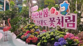 부천시, 앞으로 2주 동안 청사 1층서 봄꽃 전시