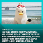 [카드뉴스] 부기 3년 만에 정규직 임용 파티 연다!