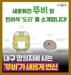[카드뉴스]대구 망월지에 사는 뚜비 새롭게 변신