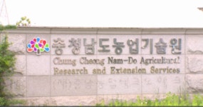 충남농업기술원, 화훼 치유 활성화…복지원예지도사 자격 취득 지원