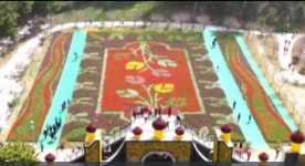 태안 세계튤립꽃박람회 관람객 5백만 명 돌파