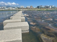 생태 자원이 관광상품…양양 남대천 대대적 탈바꿈