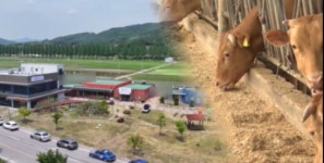 순창 축산진흥센터 한우 판매장 변화...관광 연계 6차 산업화