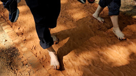 [영상 리포트] 산림욕도 즐기고 황톳길도 걷고