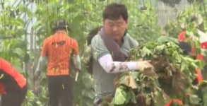 김관영 전북지사, 수해 현장 복구작업