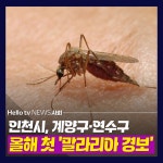 [카드뉴스]인천서 올해 첫 말라리아 경보 발령