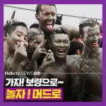 [카드뉴스] 가자! 보령으로~ 놀자! 머드로
