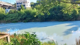 희뿌옇게 변한 기장군 장안천…폐수 배출 적발