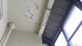 [민원25] 언제 무너질지 몰라…불안 속 생계유지 중인 반월시장 상인들