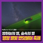 [카드뉴스] 밤하늘의 별도 보고, 숲속의 별도 보고~