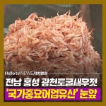 [카드뉴스] 75년 전통 광천토굴새우젓…국가중요어업유산 지정 눈앞