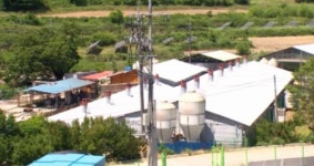 [단독 기획-축사 악취 되풀이] 2. 임실군의회, 동네안 돈사 매입안 촉구