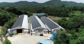 남원시, 정보통신기술로 축산 스마트화 확대