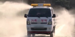 전북 만경강서 고병원성 AI 나와…위기 단계 심각