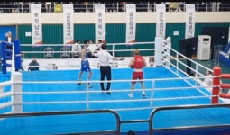 [전국체전] 메달 총 14개 경남 복싱 종합우승