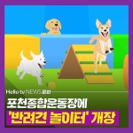 [카드뉴스] 포천종합운동장에 반려견 놀이터 개장