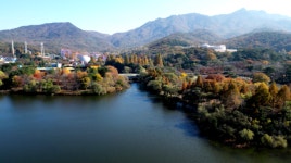 가을의 끝자락 만추의 여유