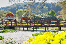 태안국화축제 5만 5천여 명 방문