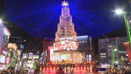 벌써 크리스마스? 광복로 트리축제 불 켰다