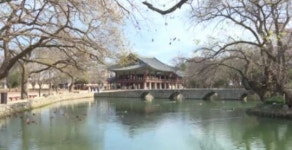 남원 광한루원 새 단장…수생 생물 서식환경 개선