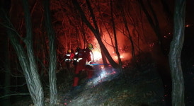 대구 군위 산불 19시간 만에 진화…14.5ha 소실