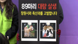 유기견 포화 우려에 집단 안락사?…창원 동물보호센터 논란