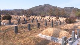 영락공원 등 공설 공원묘지 내 플라스틱 조화 7.1톤 전량 수거