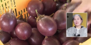 농산물 가공 지원 판로·소득 확대