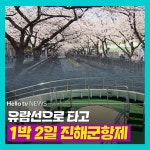 [카드뉴스]  유람선타고 1박2일 군항제!!