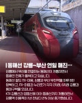 [카드뉴스] 동해선 강릉~부산 연일 매진!