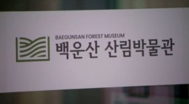 사라지는 나무와 숲…백운산 산림박물관 눈길