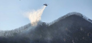 정선군 신동읍에서 산불, 1시간 45분 만에 진화