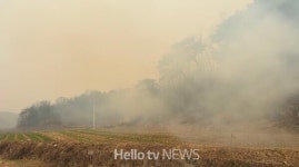경북 의성 안평 산불 진화율 51%