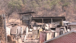 화마가 휩쓸고 간 의성…남은 건 재와 눈물 뿐