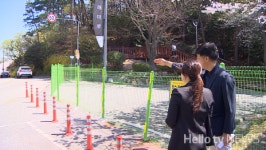 [민원25] 벚꽃명소 해운대 달맞이길 막은 울타리 왜?