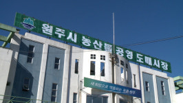 원주시농산물도매시장, 하절기 경매시간 조정