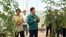 청년 농업인 스마트팜 비용 부담…경남도 적극 지원