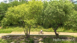 꽃과 나무, 물길 어우러진 좌광천 지방정원으로 등록