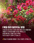 [카드뉴스] 도심 속 자연 쉼터, 좌광천… 부산 첫 지방정원으로 거듭나다