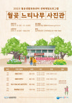 김포문화재단, 월곶 느티나무 사진관 참여자 모집