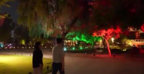 주말 밤마다 축제 분위기 남원 월광포차