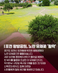 [카드뉴스] "포천 왕방공원, 지금 꽃길 걷는 중!"