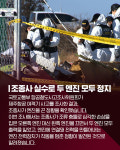 [카드뉴스] 제주항공 참사 원인 발표 조종사 실수로 두 엔진 모두 정지
