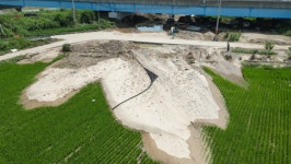 [올해도 잠겼다②] 무너진 제방, 원인은 제방 위 교각?